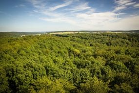 panorama of the green plateau