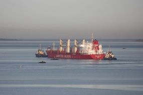 emilie bulker ship in Odense fjord