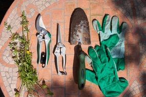 garden shears, flowers shovel and gloves