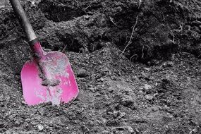 pink the handle of a shovel into the black earth