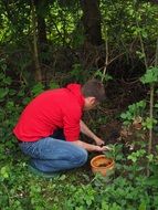 work in the green garden
