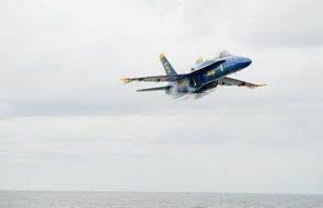 Blue Angel in the sky