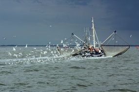 Fishing Vessel and gulls