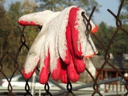 Working Gloves on rusty wire fence