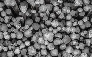 logs as logging