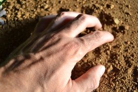 farmer hand on ground