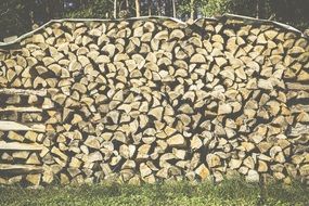 wood as logging