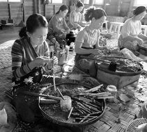 Women at Work, Tobacco factory, Asia