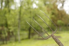 Fork in the garden