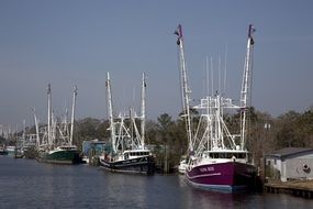 fishing boats in the port on a sunny day