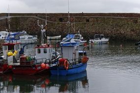 boats in the harbor on a gray day