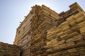 high Stacks of Wooden Planks at sky