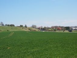 green meadow on the lime kiln museum territory