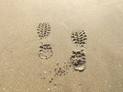 footprints in the sand in summer
