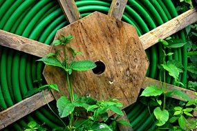 close-up cable reel