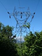 electric powerline in the forest