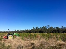 Tractor in the Field