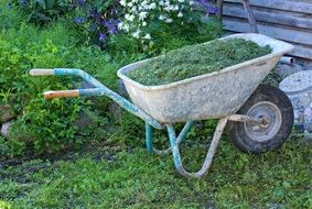 Barrow Wheelbarrows