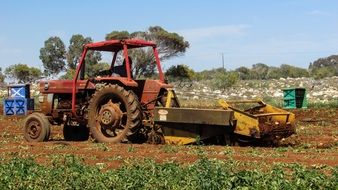 potato harvesting by tractor