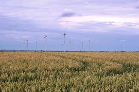 windmills on a wheat field