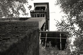 coal factory Plant