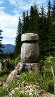 Sculpture on the wood