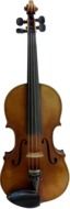 violin is a musical instrument