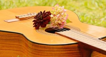 flowers on body of acoustic Guitar
