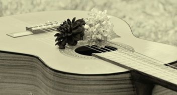 black and white image of a guitar with flowers