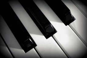 black and white pianoforte keys