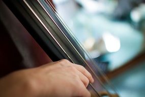 Cello strings Instrument