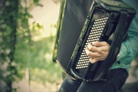 accordion in the hands of a musician