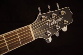 Guitar cakamine