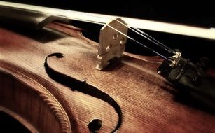 Musical Instrument Violin