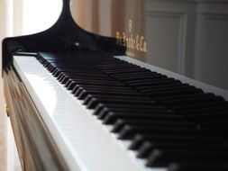 Piano acoustic instrument