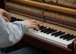 musician plays the piano