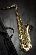 saxophone near the gray wall