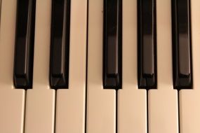 Piano Keyboard Notes