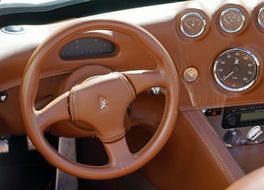 Roadster Wiesmann Leather