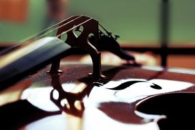 cello close up