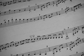 notes on white sheets close up