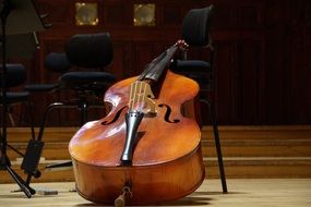 double bass on stage