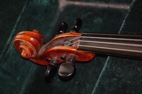 photo of a snail violin
