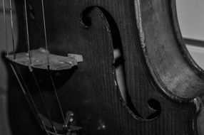 black and white photo of violin strings closeup