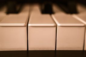 black and white image of a piano keyboard close-up