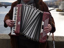 street musician plays the accordion