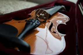violin bridge close up
