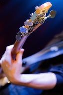 Bass Instrument