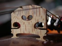 violin close-up