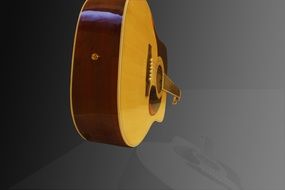 Acoustic Guitar Instrument